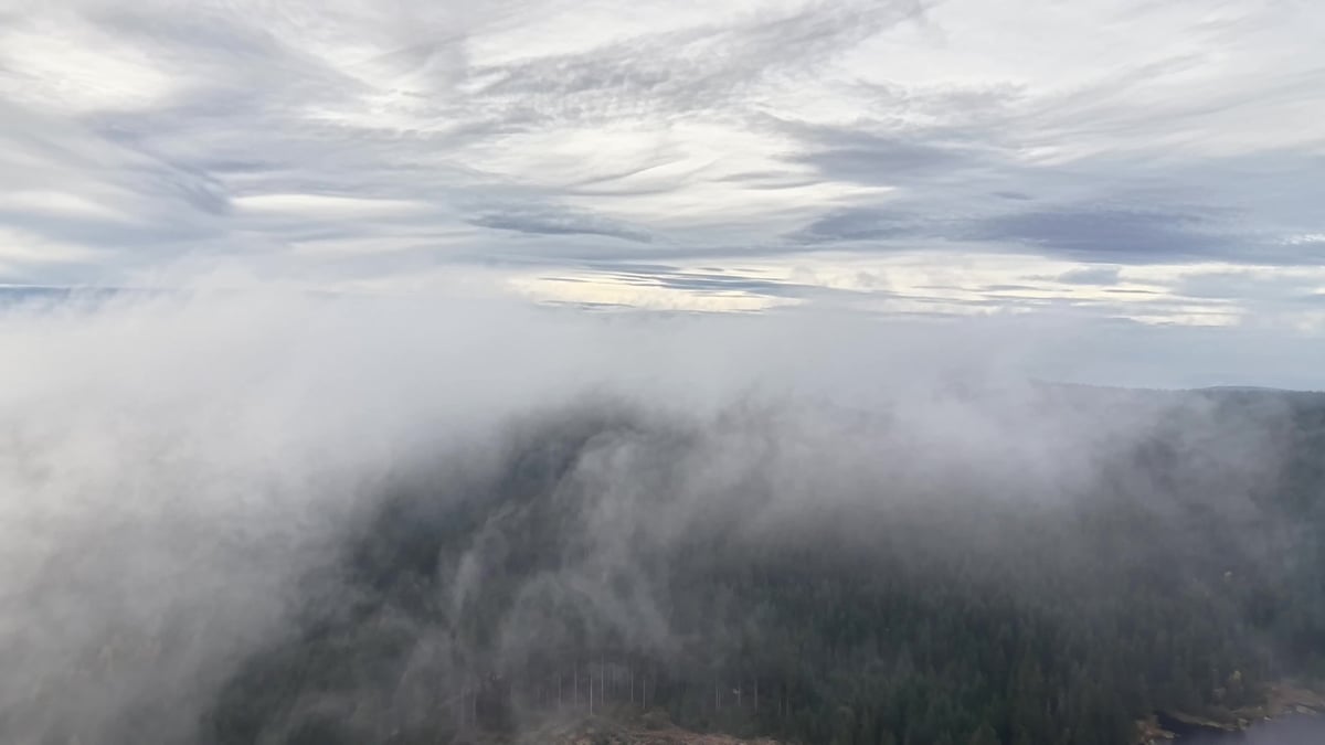 Dawn fog lifting over distant hills, evoking the Central Coast marine layer